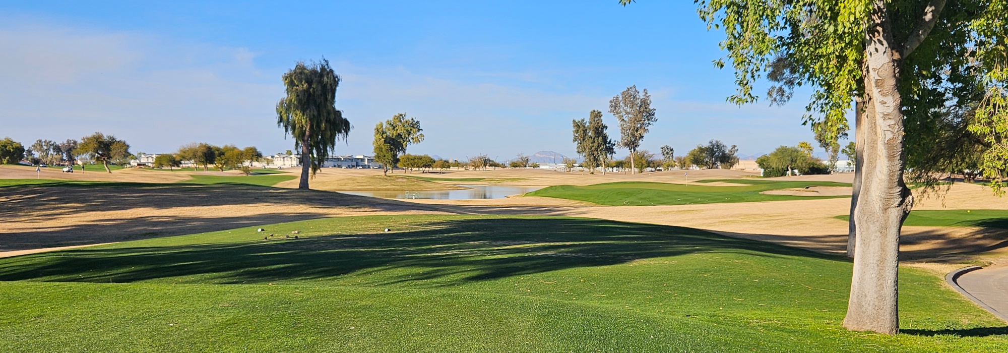 Las Colinas Golf Club - Queen Creek, AZ